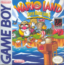 wario land